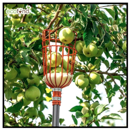 Fruit Picker Tool