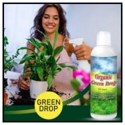 Organic GreenDrop Plant Food Liquid Fertilizer For Plant Growth & Greening Pack of 1