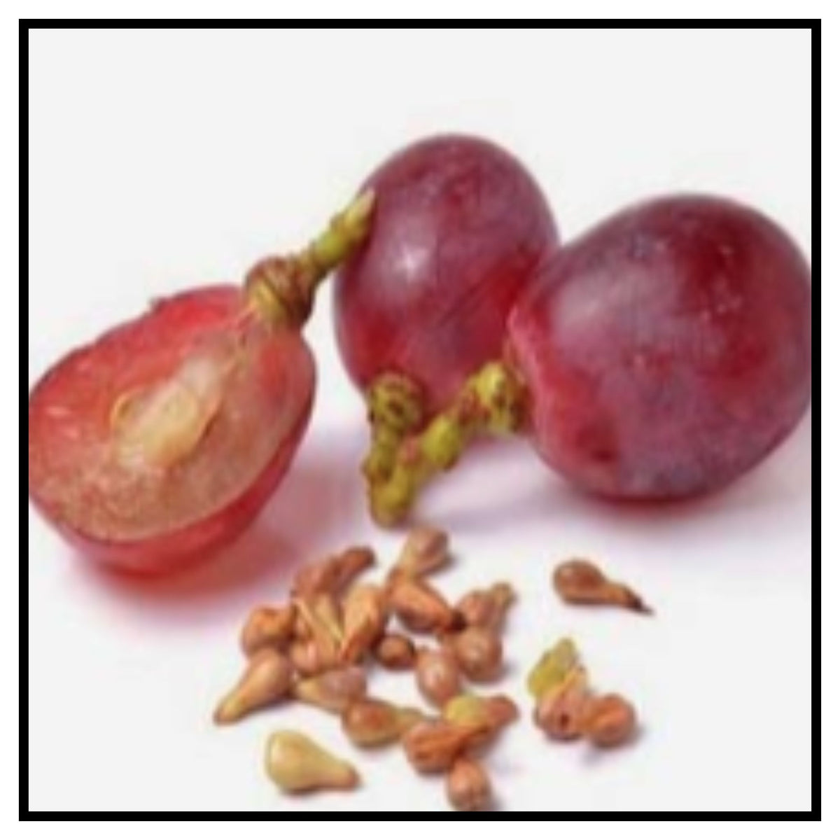 Grape Seeds Our Seeds are rich in antioxidants