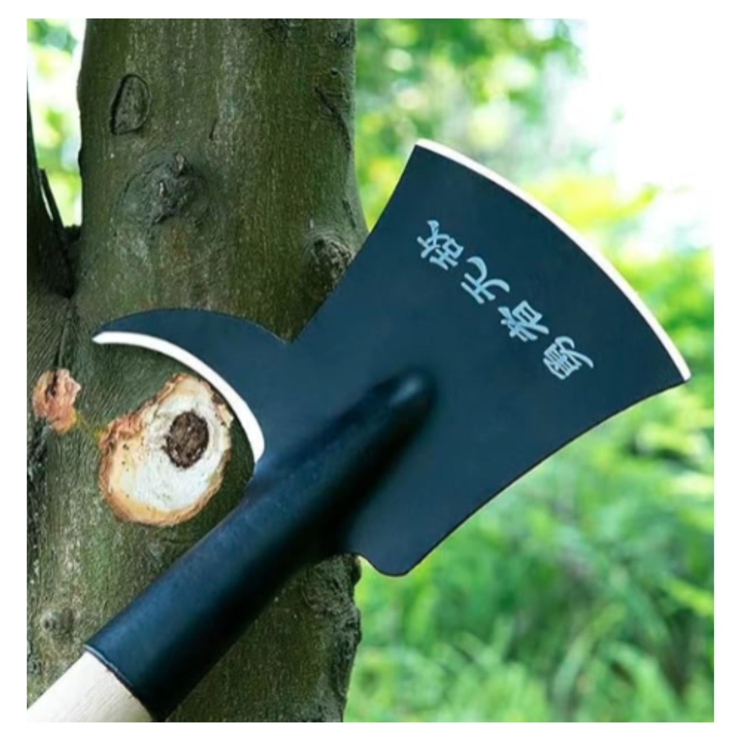 Palm Tree Trimmer