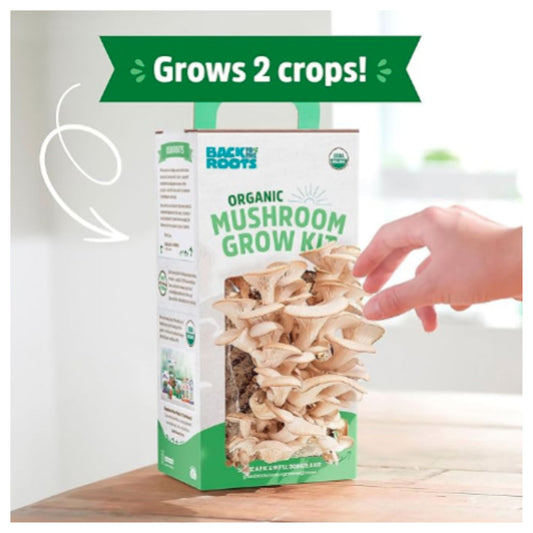 Organic Mushroom Growing Kit
