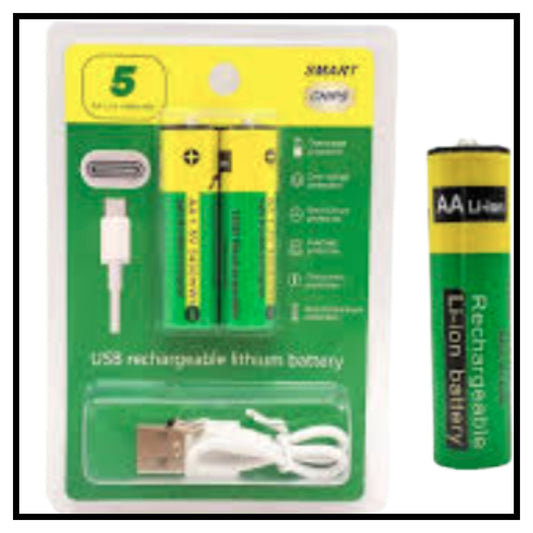 Type C Rechargeable Batteries(Pack of 2)