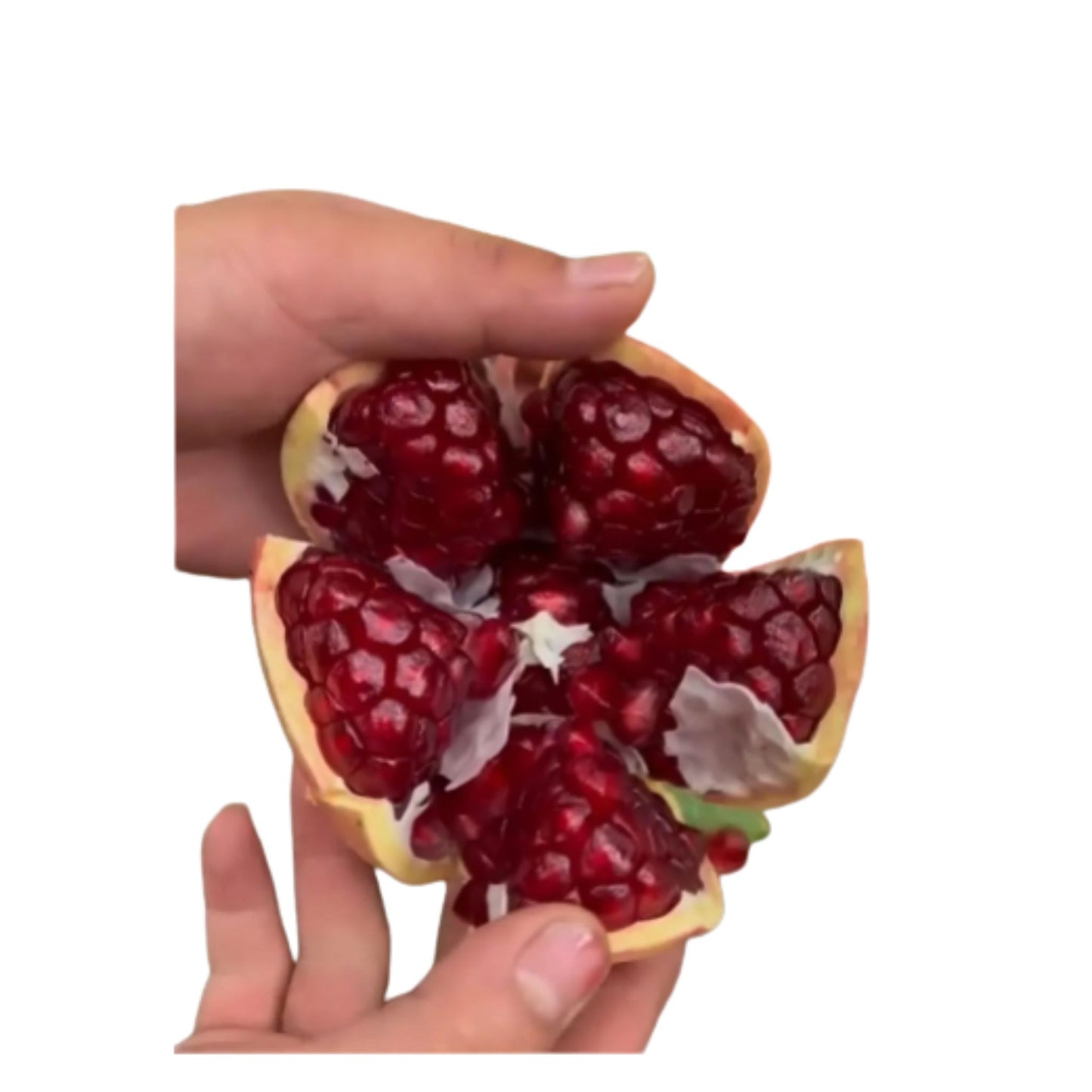Pomegranate Fruit Seeds Enhances beauty of garden, landscapes etc.