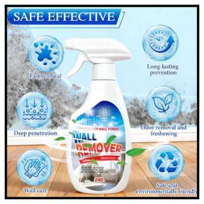 Wall Mold remover spray (Pack of 2)