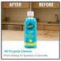 All-Purpose Cleaner, Lemon Scented, Multi-Surface Cleaning Solution (PACK OF 2)