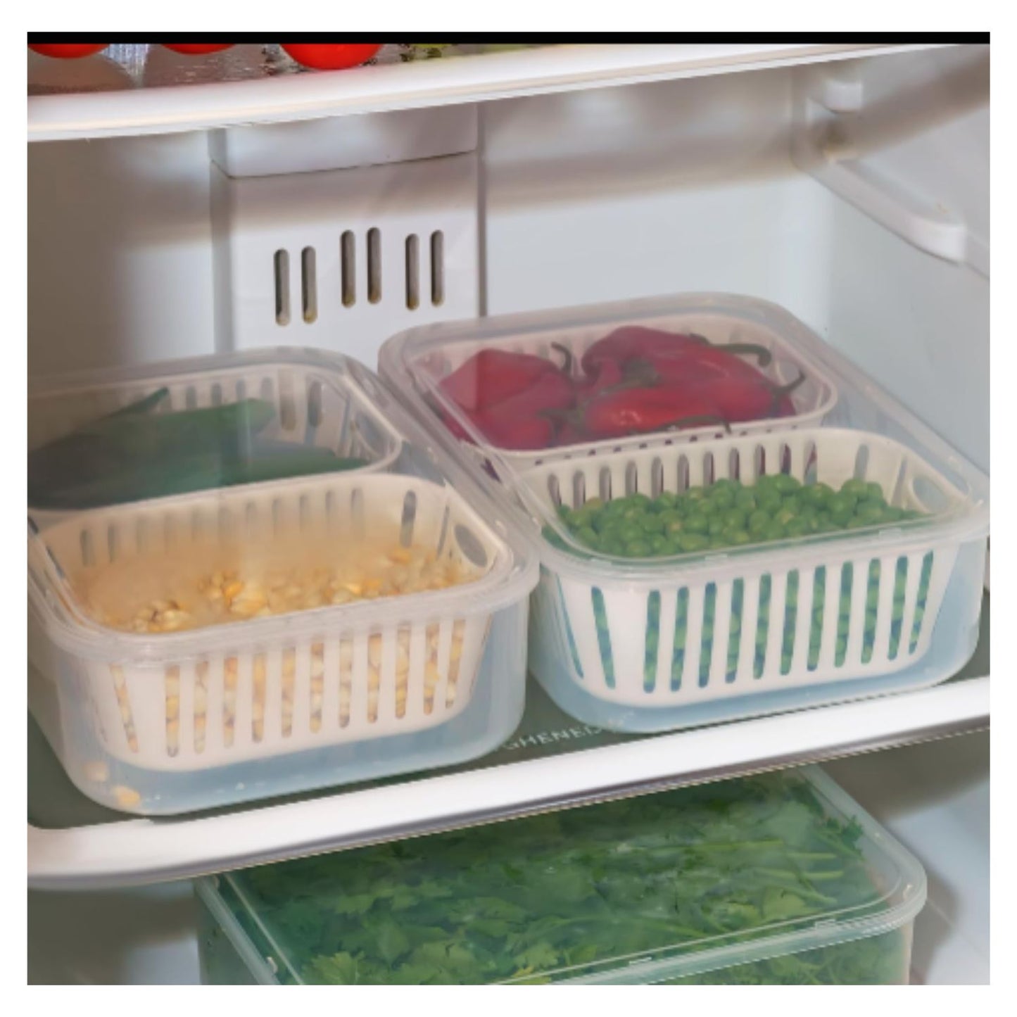 2 Compartments Food Container Leakproof Fresh-Keeping Storage Box