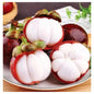 Mangosteen Fruit Tree seed