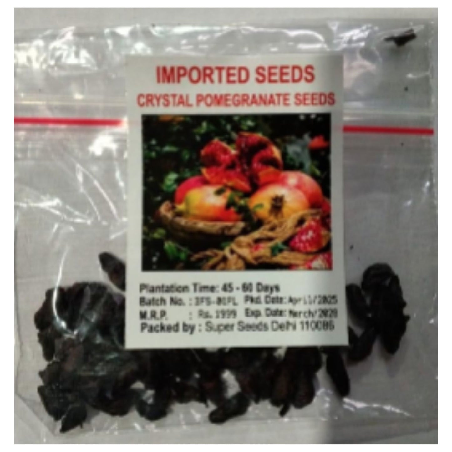 Pomegranate Fruit Seeds Enhances beauty of garden, landscapes etc.