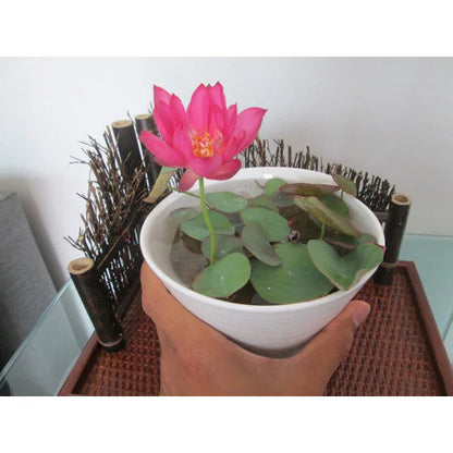 8534