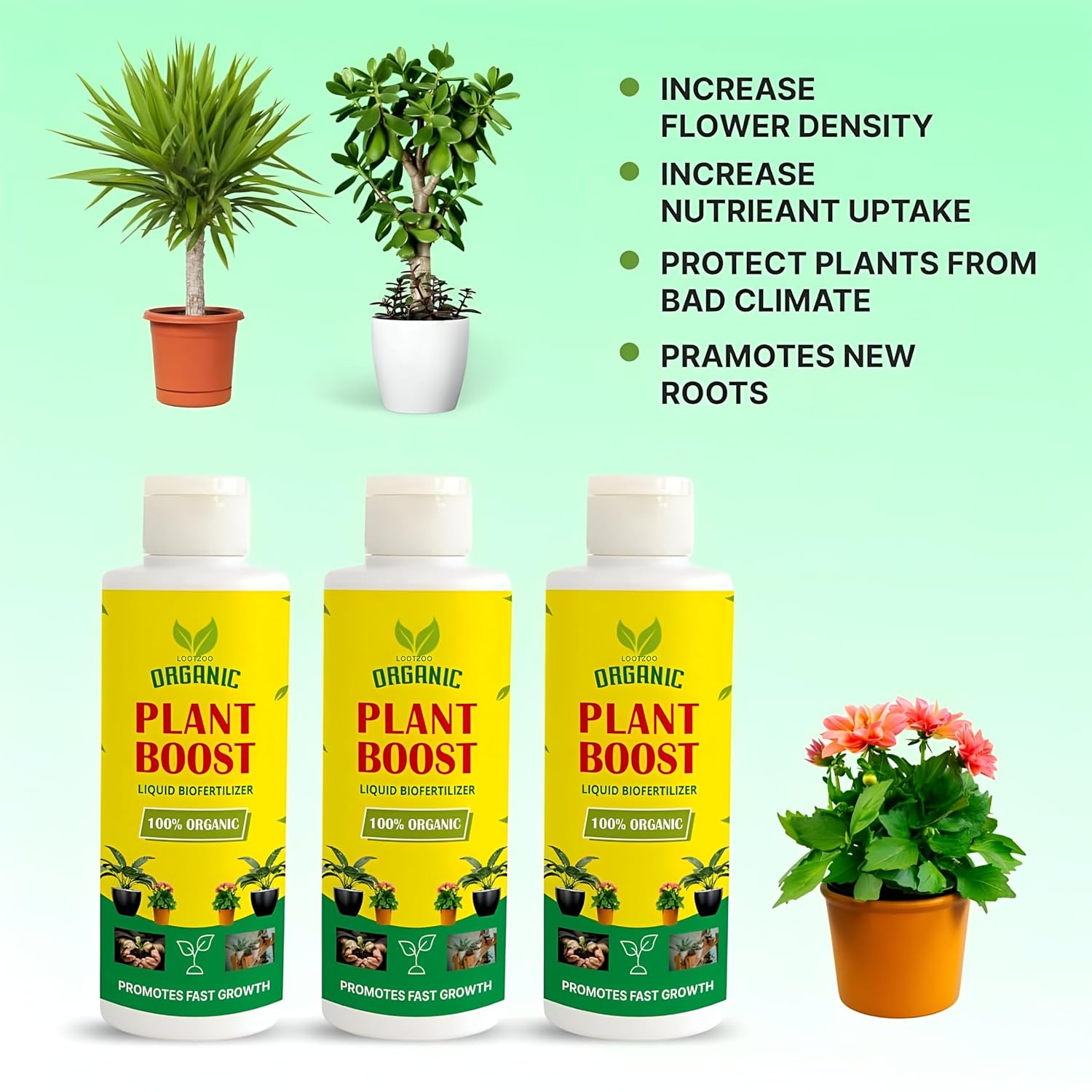 Organic Plant Boost Liquid Fertilizer 3 Bottles for Root Growth and Flower Density