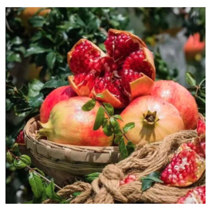 Fresh Whole and Halved Pomegranates in Basket with Red Seeds Juicy