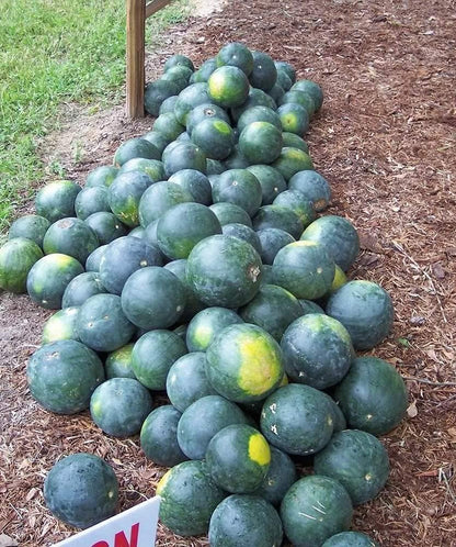 8966